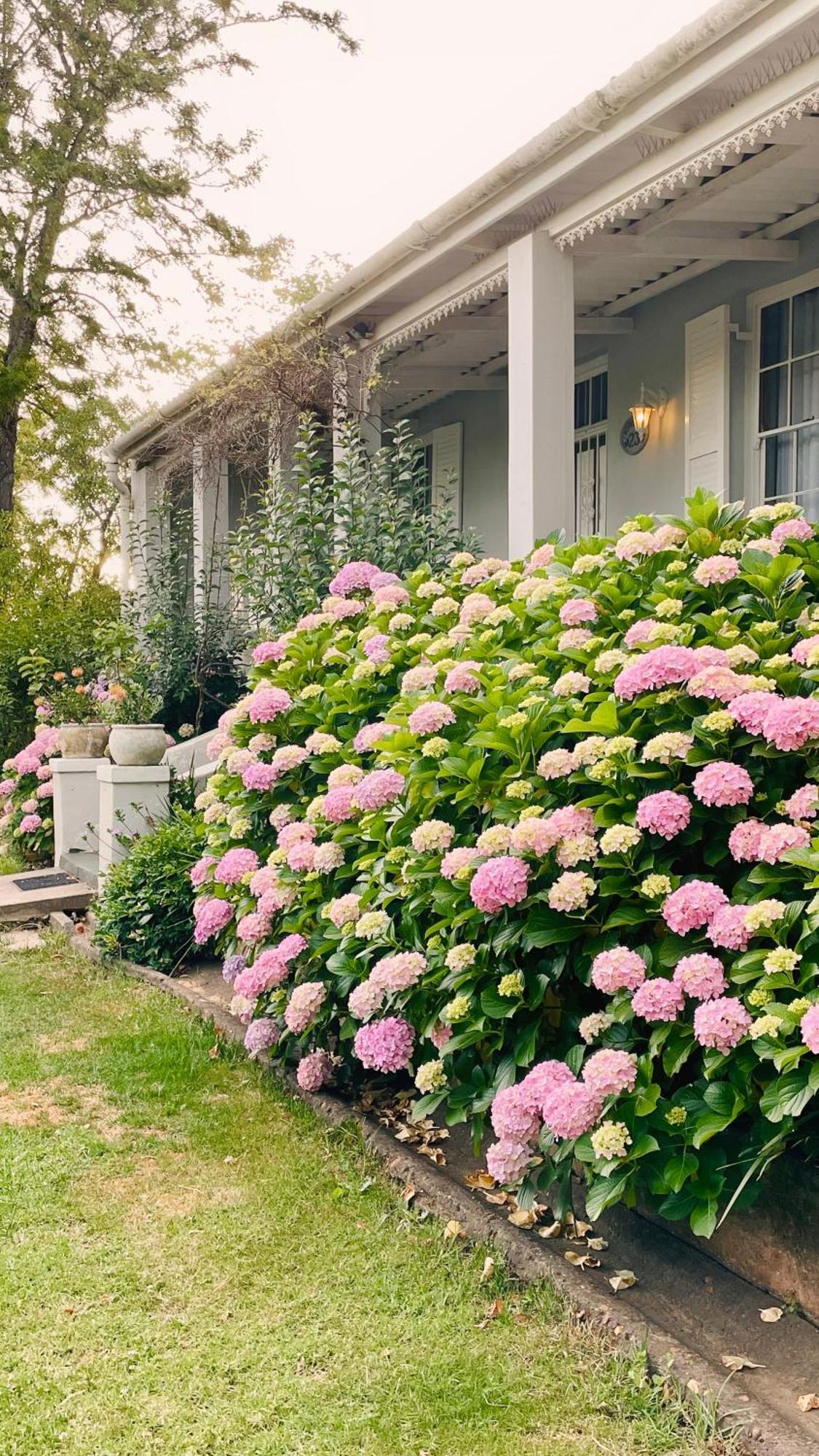 Rosehaven Cottage Swellendam Eksteriør billede